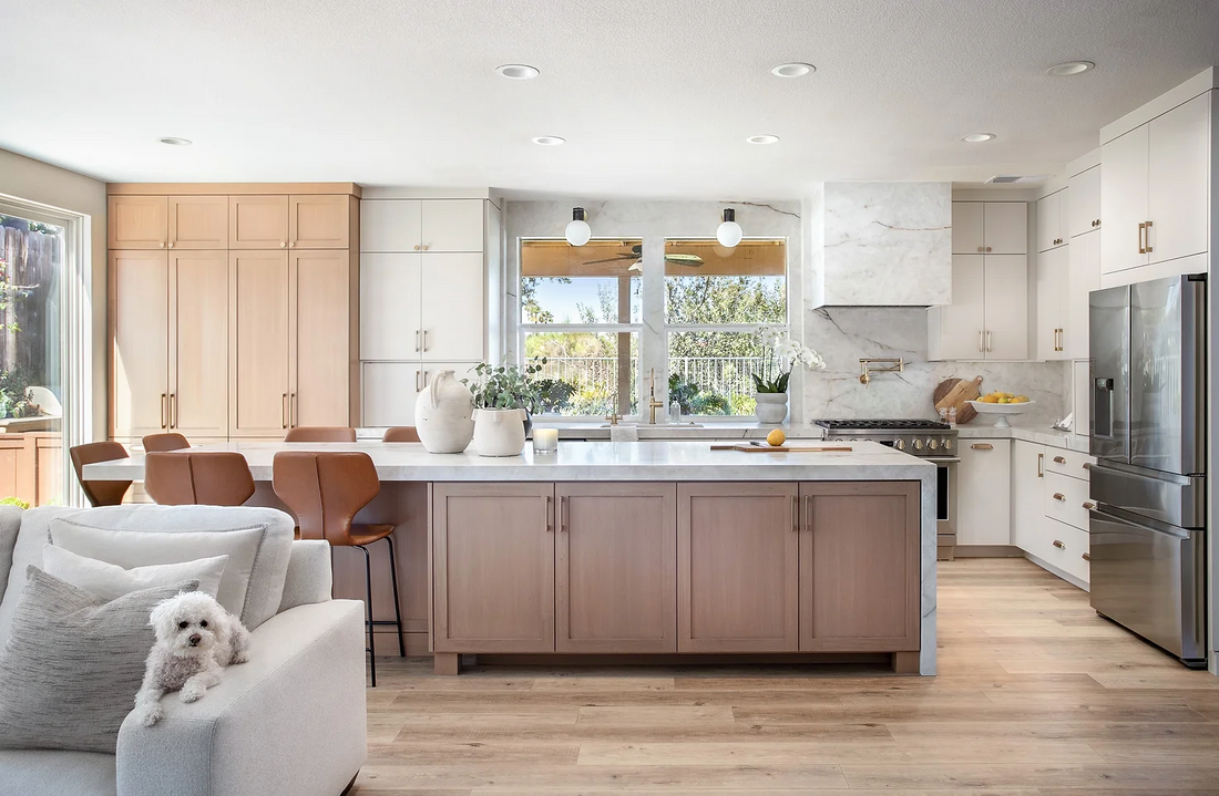 Appliances for our kitchen remodel at #thesasshome and another mention of our awesome #neolith stone